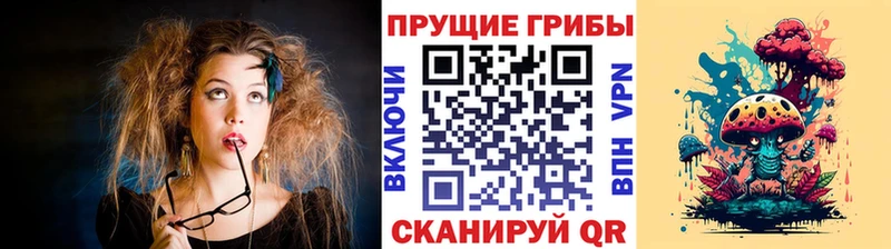 Псилоцибиновые грибы Cubensis закладка Белорецк