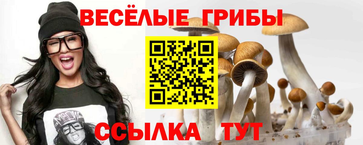 Белорецк  Псилоцибиновые грибы Psilocybine cubensis  Вход с VPN  Галлюциногенные грибы прущие грибы 