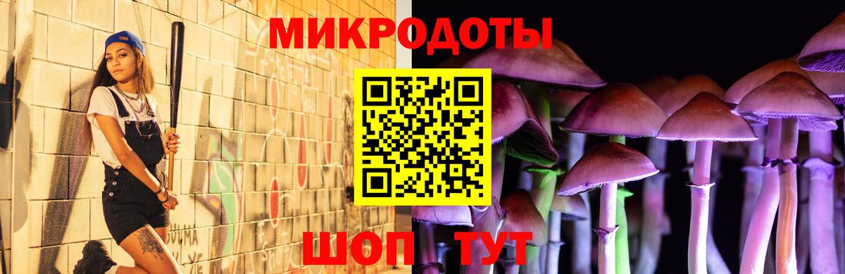 дарнет шоп  Галлюциногенные грибы GOLDEN TEACHER  Белорецк  Псилоцибиновые грибы мухоморы 